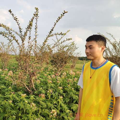 37岁岁广东单身帅哥 - 怒江吉缘网